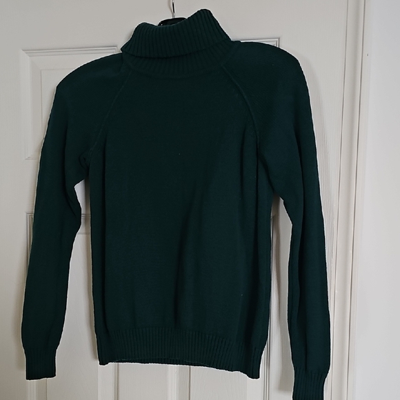 Karen Scott Tops - Dark Green Turtleneck Sweater